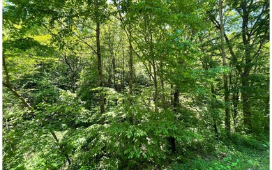 Additional View