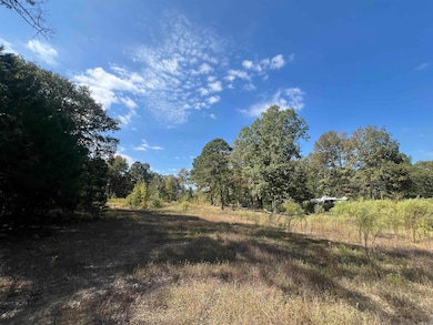 23709 Block Rd, Hensley, AR 72065 - photo 6