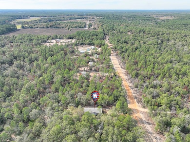 290 Lee Ann Ln, Defuniak Springs, FL 32433 - photo 4