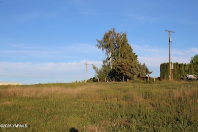NKA Orchardvale Rd, Zillah, WA 98953 - photo 2