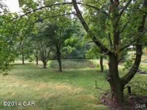 pond