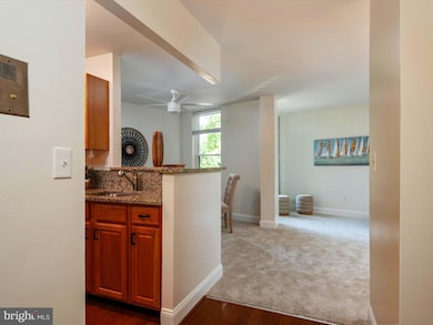 316 Burnside St unit 101, Annapolis, MD 21403 - photo 6