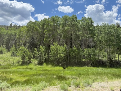7700 Junkins Park, Westcliffe, CO 81252 - photo 3