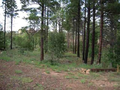 6214 Juniper Ridge, Show Low, AZ 85901 - photo 3