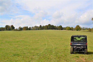 Land View