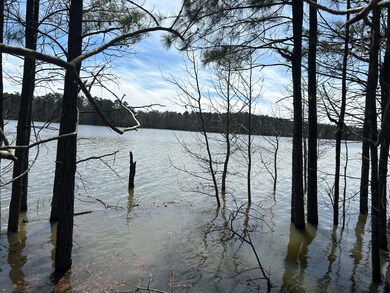 1031 Water Way, Lincolnton, GA 30817 - photo 7