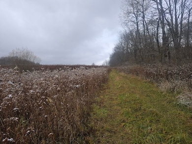 0WP Piety Hill Rd, Cincinnatus, NY 13040 - photo 5