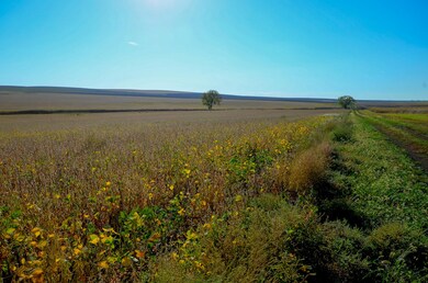 NE4 Sec 21 321st Ave, Central Lyman, SD 57544 - photo 4
