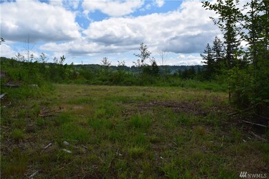 13556 Center Rd, Quilcene, WA 98376 - photo 7