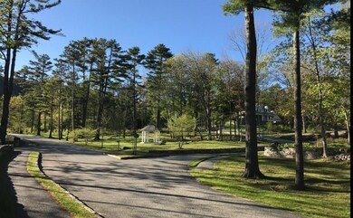 Mountain Arrow Village Green