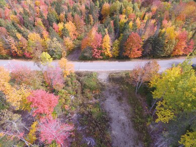 DJI_0225
