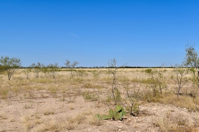 85 Private Road 527, Brady, TX 76825 - photo 3