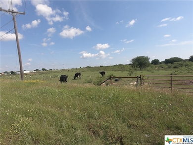 11454 Moffat Rd, Temple, TX 76502 - photo 5