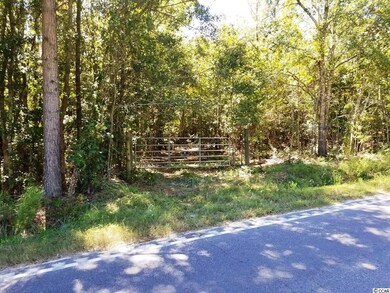 TBD1 State Highway 548, Conway, SC 29527 - photo 3