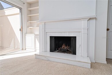 Living Room Fireplace