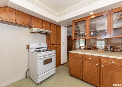 304 S 5th Ave, New Windsor, IL 61465 - photo 5