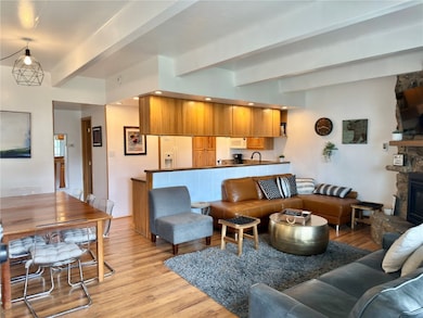 370 E La Bonte St unit C, Dillon, CO 80435 - photo 4