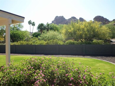 Back yard