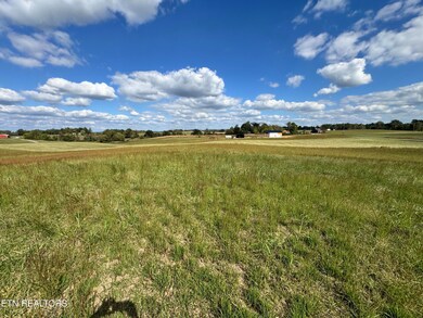 0 Raymond Rd, Monroe, TN 38573 - photo 3