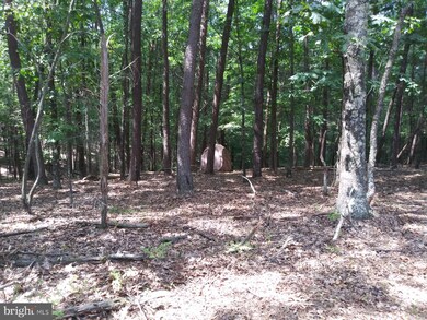 0 Little Cacapon-Levels Rd, Slanesville, WV 25444 - photo 7