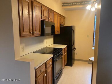 270 Hudson Ave unit 2E, Albany, NY 12210 - photo 3