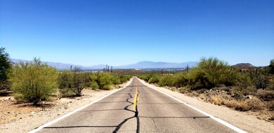 VIEW TO THE EAST : Trails End Rd.