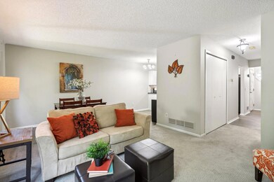 10682 Hummingbird St NW, Coon Rapids, MN 55433 - photo 4