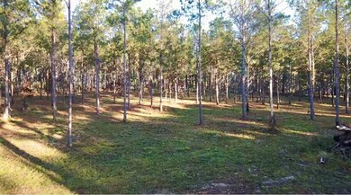 00 Collins Rd, Cairo, GA 39828 - photo 5