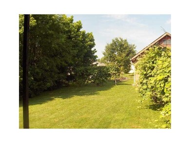 Yard/Garden.