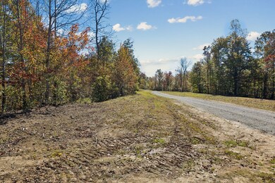 Tract 5 Sheep Ranch Rd, Robbins, TN 37852 - photo 3