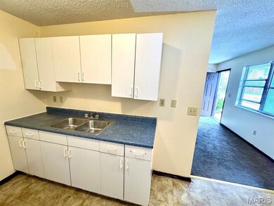 913 Joliet Dr unit 1, Sauget, IL 62206 - photo 5