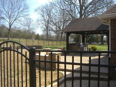 Back yard outdoor living