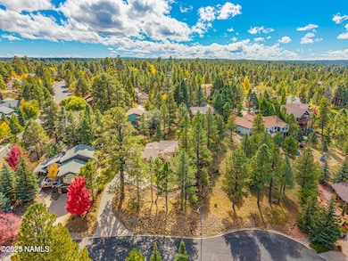 4449 E Moonshadow Ln, Flagstaff, AZ 86004 - photo 3