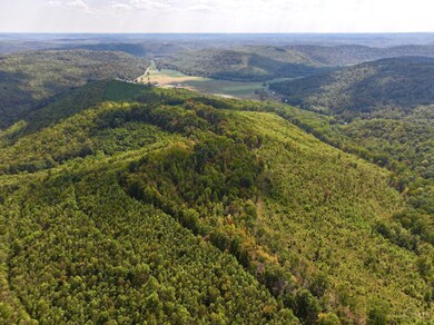 0 St Rt 348 unit 1855893, Jefferson Township, OH 45657 - photo 6