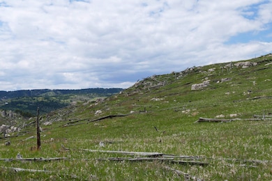 TBD Majestic Heights Rd unit TBD Mountaintop Maje, Sturgis, SD 57785 - photo 6