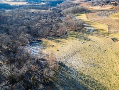 000 Tbd Lycurgus Rd, Waukon, IA 52172 - photo 6