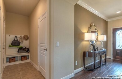 10813 Tansy Canyon, Helotes, TX 78023 - photo 6