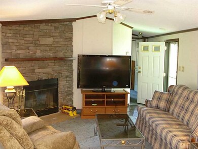 Living Room. Living Room With wood burning Firepla