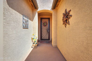Decorative security door