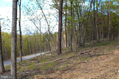 9.08 ac Pylor Way, Grant, WV 26833 - photo 7