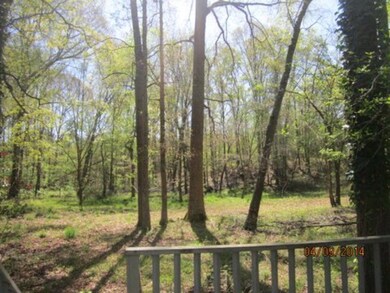 762 Ga Highway 49, Macon, GA 31211 - photo 3