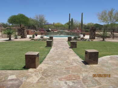 Back yard oasis