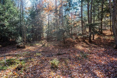 Mix of wooded and open areas