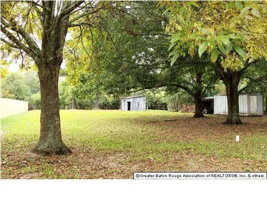 Large back yard with mature trees -- very private 