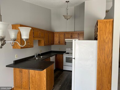 6420 Starlite Cir NE, Minneapolis, MN 55432 - photo 5