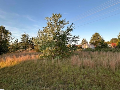 7631 Highway 11 Hwy, Campobello, SC 29322 - photo 3