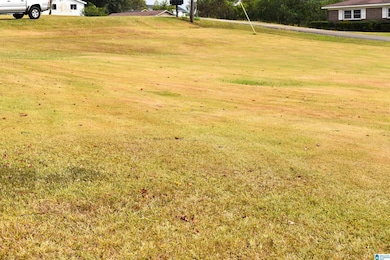 928 2nd St SE, Graysville, AL 35073 - photo 4