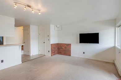 27 Crystal Rd unit 5, Crested Butte, CO 81225 - photo 6