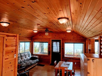 W14355 Plummer Rd, Weyerhaeuser, WI 54895 - photo 4