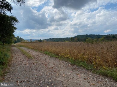 Lot 2 County Line Rd, Bechtelsville, PA 19505 - photo 6